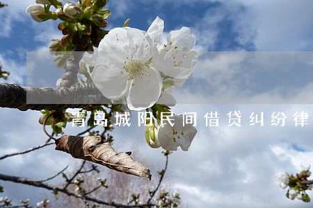 青岛城阳民间借贷纠纷律师 青岛城阳民间借贷纠纷律师