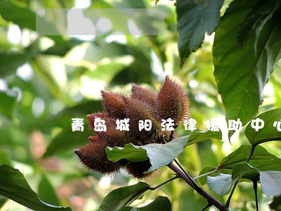 青岛城阳法律援助中心 青岛城阳法律援助中心