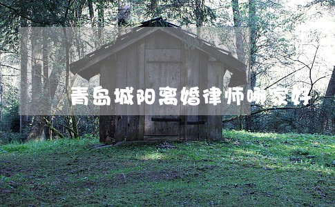 青岛城阳离婚律师哪家好 青岛城阳离婚律师哪家好