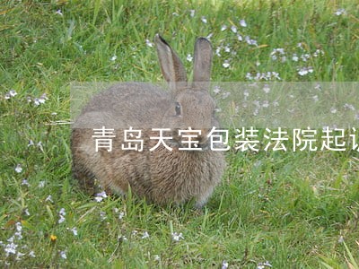 青岛天宝包装法院起诉 青岛天宝包装法院起诉