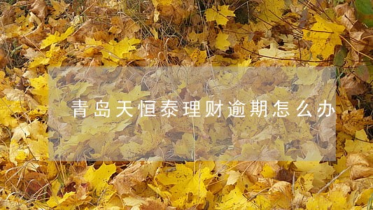 青岛天恒泰理财逾期怎么办 青岛天恒泰理财逾期怎么办