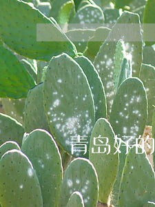 青岛好的法律咨询免费 青岛好的法律咨询免费