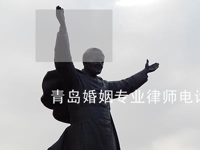 青岛婚姻专业律师电话 青岛婚姻专业律师电话