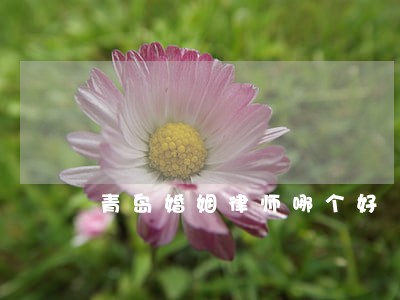 青岛婚姻律师哪个好 青岛婚姻律师哪个好