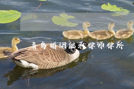 青岛婚姻继承律师律所 青岛婚姻继承律师律所