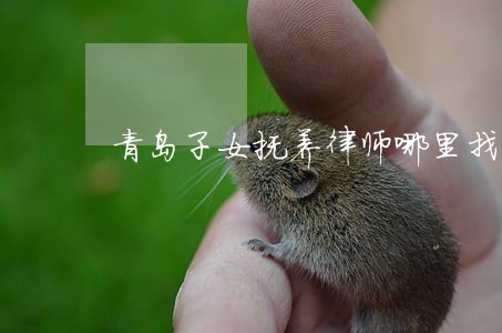 青岛子女抚养律师哪里找 青岛子女抚养律师哪里找
