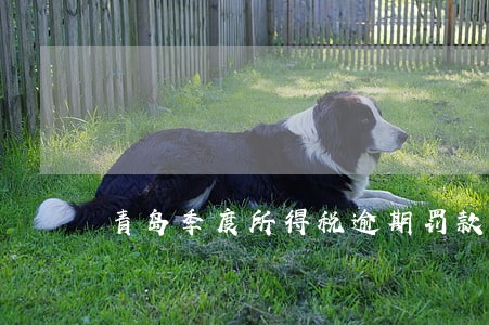 青岛季度所得税逾期罚款吗