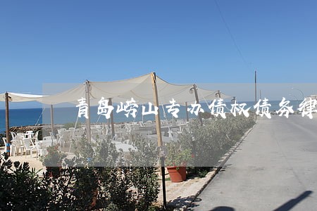 青岛崂山专办债权债务律师事务所 青岛崂山专办债权债务律师事务所