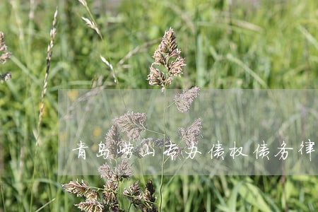 青岛崂山专办债权债务律师哪个好 青岛崂山专办债权债务律师哪个好