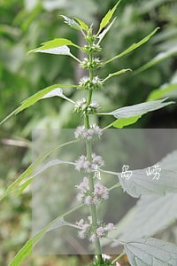 青岛崂山代理债务律师收费