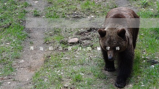 青岛崂山区找婚姻律师 青岛崂山区找婚姻律师