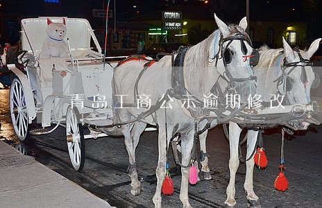 青岛工商公示逾期修改