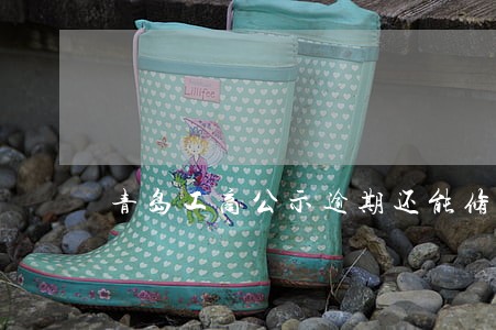 青岛工商公示逾期还能修改吗