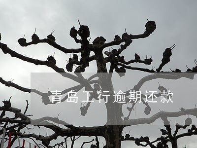 青岛工行逾期还款