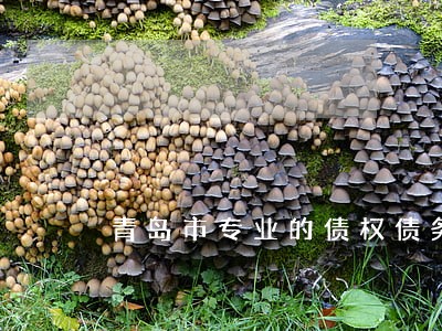 青岛市专业的债权债务律师收费 青岛市专业的债权债务律师收费