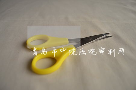 青岛市中院法院审判网