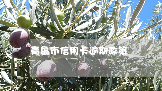 青岛市信用卡逾期政策