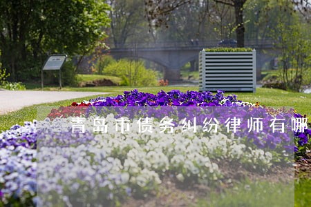青岛市债务纠纷律师有哪些 青岛市债务纠纷律师有哪些