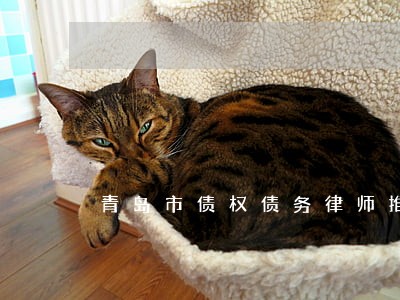 青岛市债权债务律师推荐 青岛市债权债务律师推荐