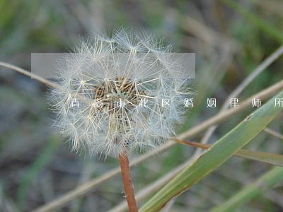 青岛市北区婚姻律师所 青岛市北区婚姻律师所
