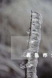 青岛市北区承包合同律师网 青岛市北区承包合同律师网