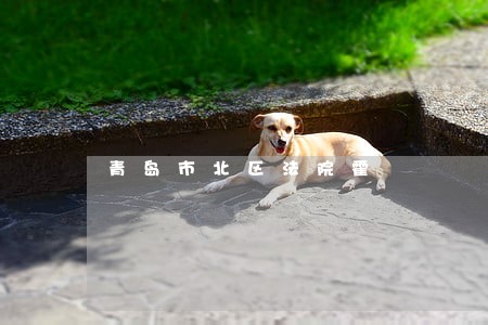 青岛市北区法院霍