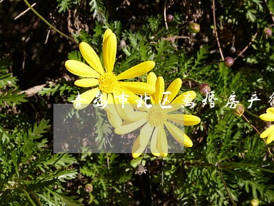 青岛市北区离婚房产律师 青岛市北区离婚房产律师