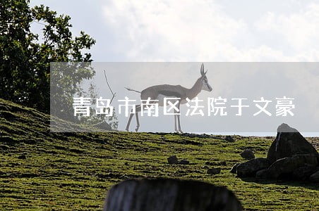 青岛市南区法院于文豪 青岛市南区法院于文豪