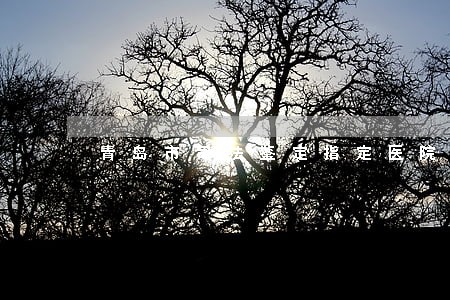青岛市司法鉴定指定医院 青岛市司法鉴定指定医院