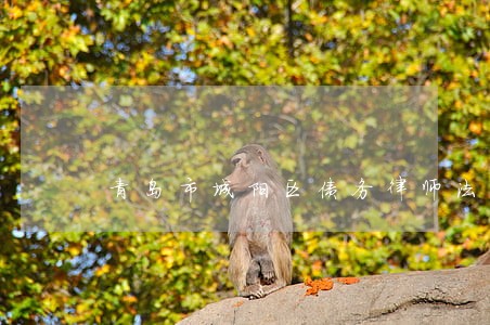 青岛市城阳区债务律师法律咨询 青岛市城阳区债务律师法律咨询