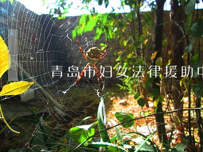 青岛市妇女法律援助中心 青岛市妇女法律援助中心