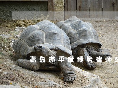 青岛市平度债务律师法律咨询 青岛市平度债务律师法律咨询