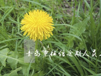 青岛市征信逾期人员名单