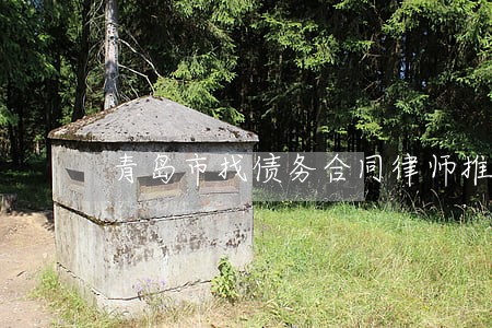 青岛市找债务合同律师推荐 青岛市找债务合同律师推荐
