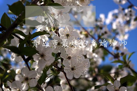 青岛市最好的离婚律师 青岛市最好的离婚律师