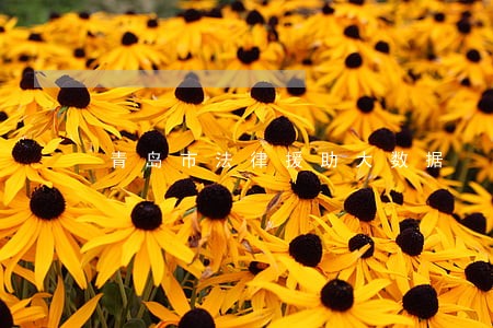 青岛市法律援助大数据 青岛市法律援助大数据