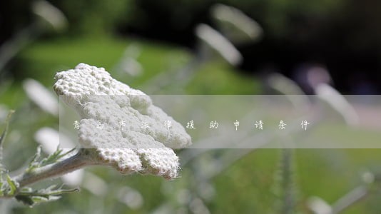 青岛市法律援助申请条件 青岛市法律援助申请条件