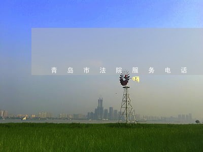 青岛市法院服务电话