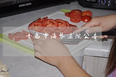 青岛市海琴法院公告