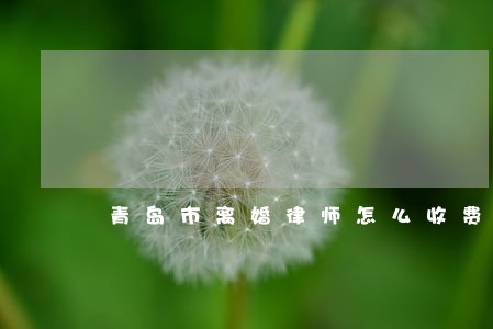 青岛市离婚律师怎么收费 青岛市离婚律师怎么收费