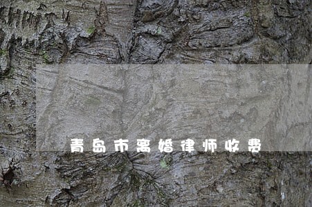青岛市离婚律师收费 青岛市离婚律师收费