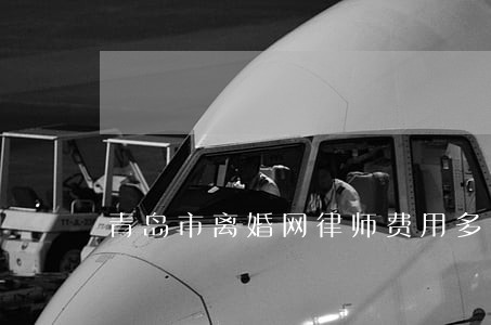 青岛市离婚网律师费用多少 青岛市离婚网律师费用多少