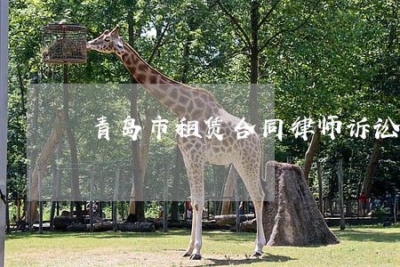 青岛市租赁合同律师诉讼费 青岛市租赁合同律师诉讼费