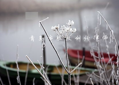 青岛市股权纠纷律师