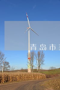 青岛市莱西市债务律师介绍 青岛市莱西市债务律师介绍