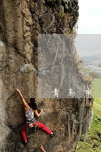 青岛市莱西市债务律师在线咨询
