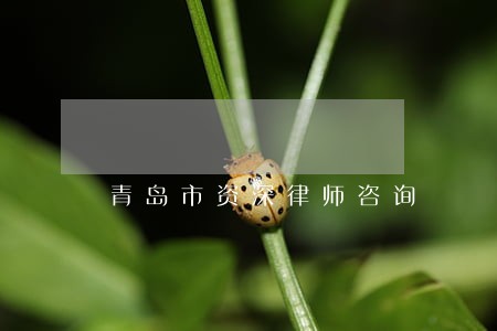 青岛市资深律师咨询 青岛市资深律师咨询