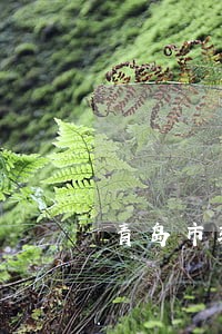 青岛市较好的债务纠纷律师 青岛市较好的债务纠纷律师
