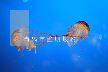 青岛市逾期报税 青岛市逾期报税