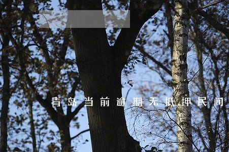 青岛当前逾期无抵押民间借贷 青岛当前逾期无抵押民间借贷
